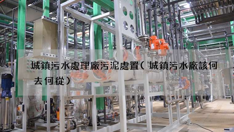 城鎮污水處理廠污泥處置(城鎮污水廠該何去何從)